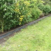 Tuin Groningen